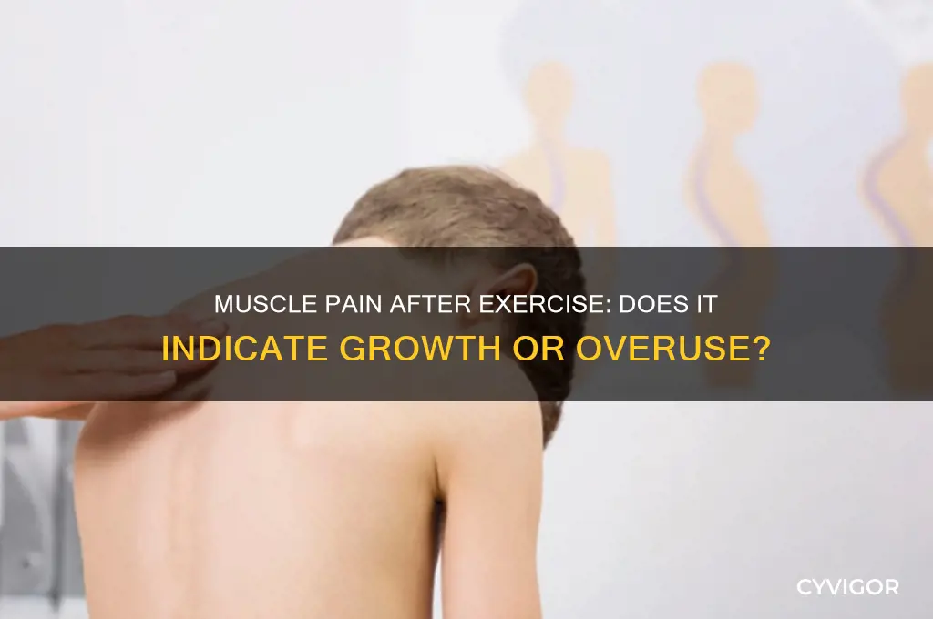 does muscle pain after exercise mean growth
