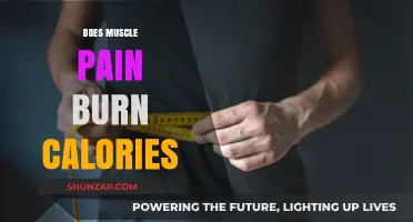 Does Muscle Pain Burn Calories? Unraveling the Post-Workout Myth
