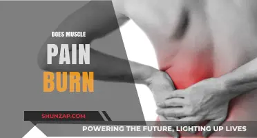 Does Muscle Pain Burn? Understanding the Science Behind Soreness