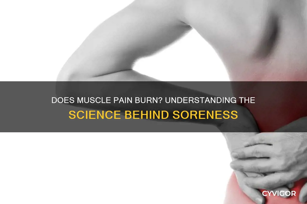 does muscle pain burn