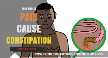Muscle Pain and Constipation: Is There a Link?