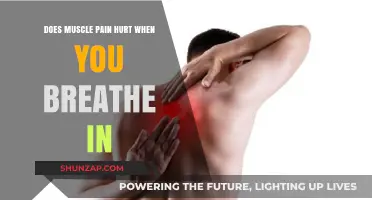Breathing and Muscle Pain: Understanding the Connection and Causes