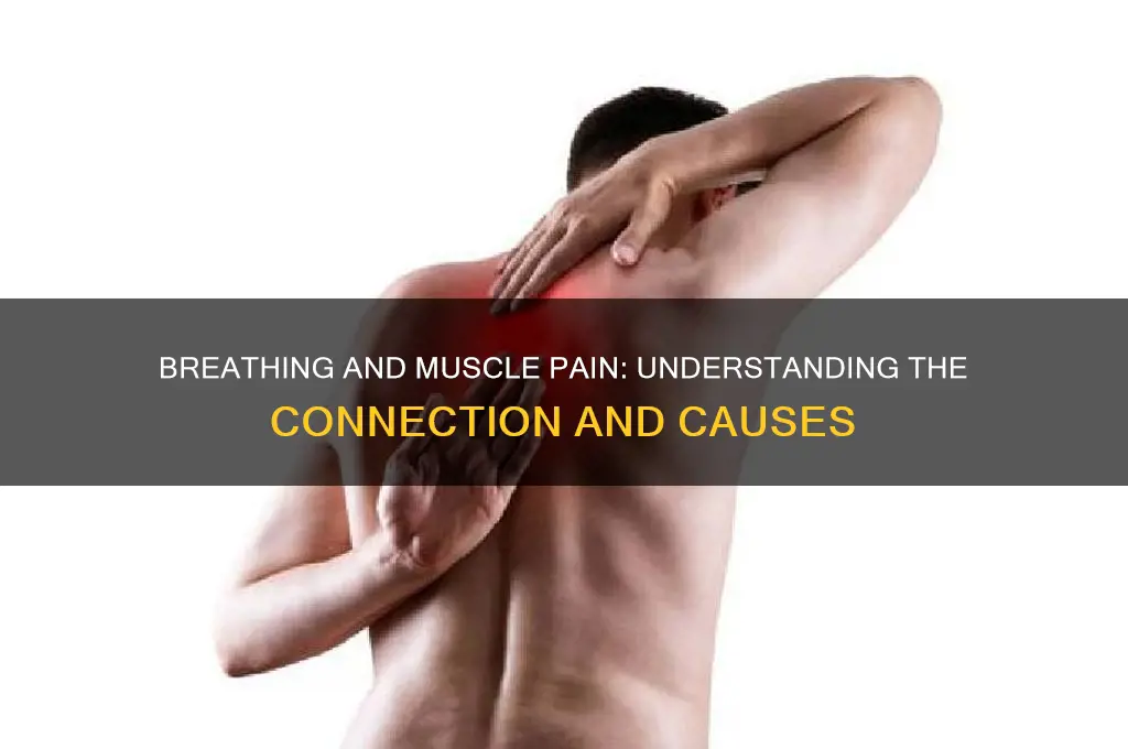 does muscle pain hurt when you breathe in