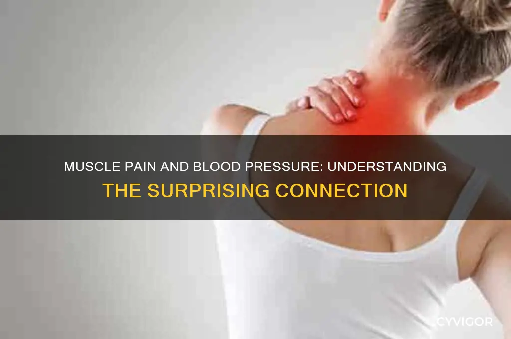 does muscle pain increase blood pressure