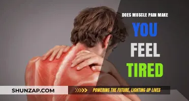 Muscle Pain and Fatigue: Unraveling the Connection to Persistent Tiredness