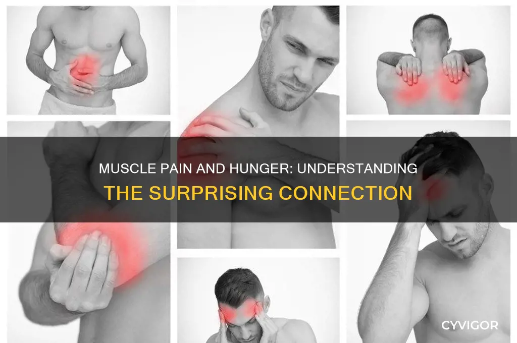 does muscle pain make you hungry
