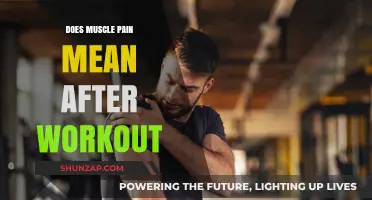 Does Muscle Pain After Workouts Indicate Progress or Overtraining?