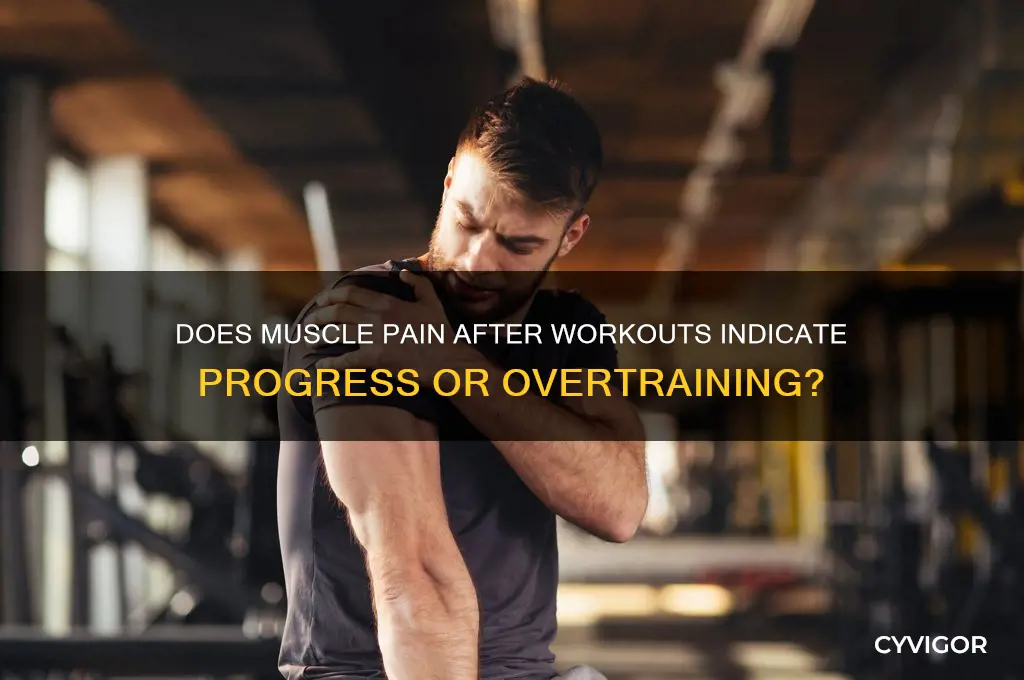 does muscle pain mean after workout