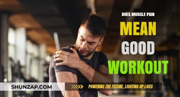 Muscle Pain After Workouts: Sign of Progress or Overtraining?
