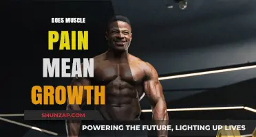 Does Muscle Pain Indicate Growth? Unraveling the Post-Workout Soreness Myth