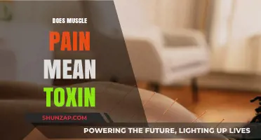 Muscle Pain and Toxins: Unraveling the Connection and Facts