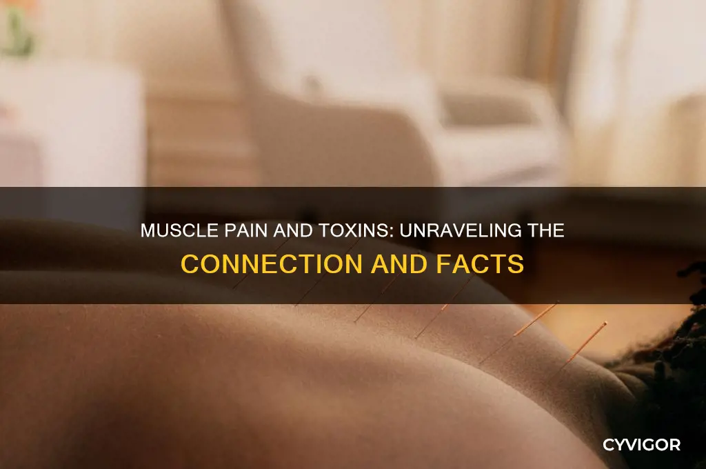 does muscle pain mean toxin