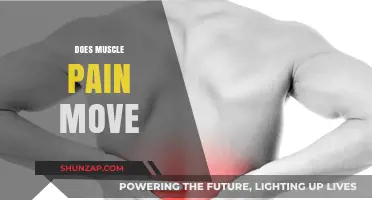 Does Muscle Pain Move? Understanding Its Shifting Nature and Causes