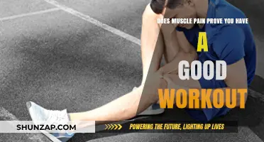 Muscle Pain After Workouts: Sign of Progress or Overtraining?