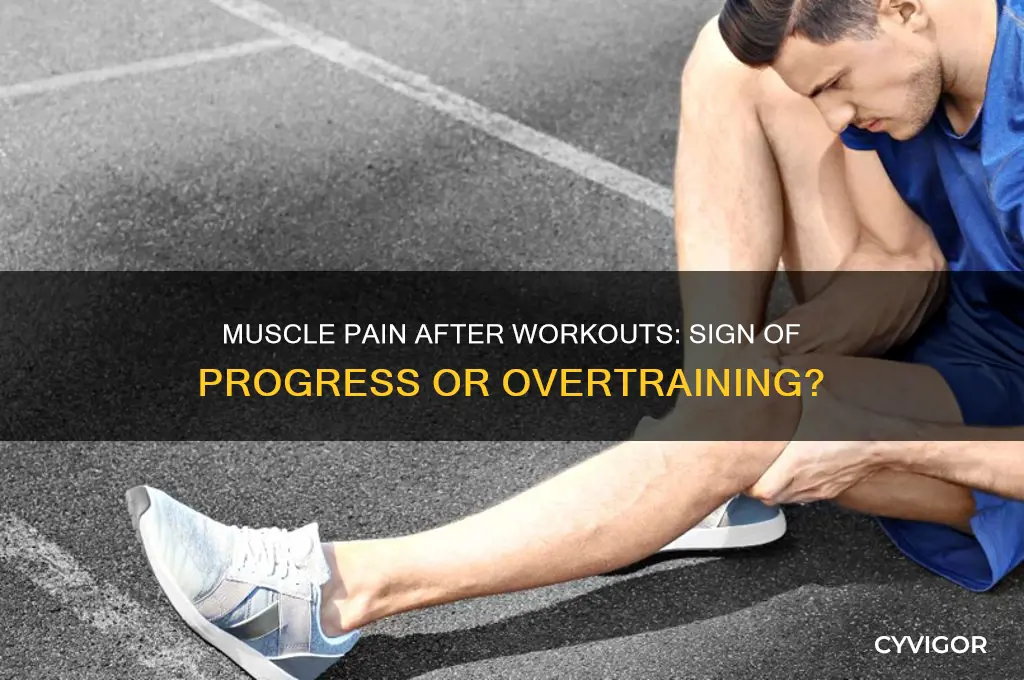 does muscle pain prove you have a good workout