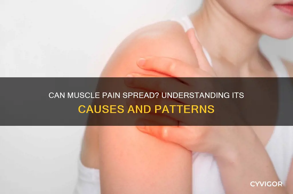 does muscle pain spread