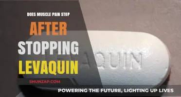 Does Muscle Pain Stop After Stopping Levaquin? What to Expect
