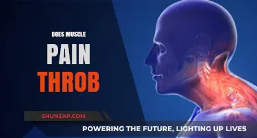 Does Muscle Pain Throb? Understanding Persistent Aches and Their Causes