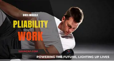 Does Muscle Pliability Work? Unlocking Flexibility, Strength, and Recovery Benefits