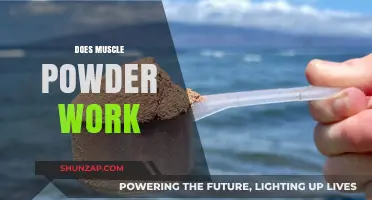 Does Muscle Powder Work? Uncovering the Truth Behind Protein Supplements
