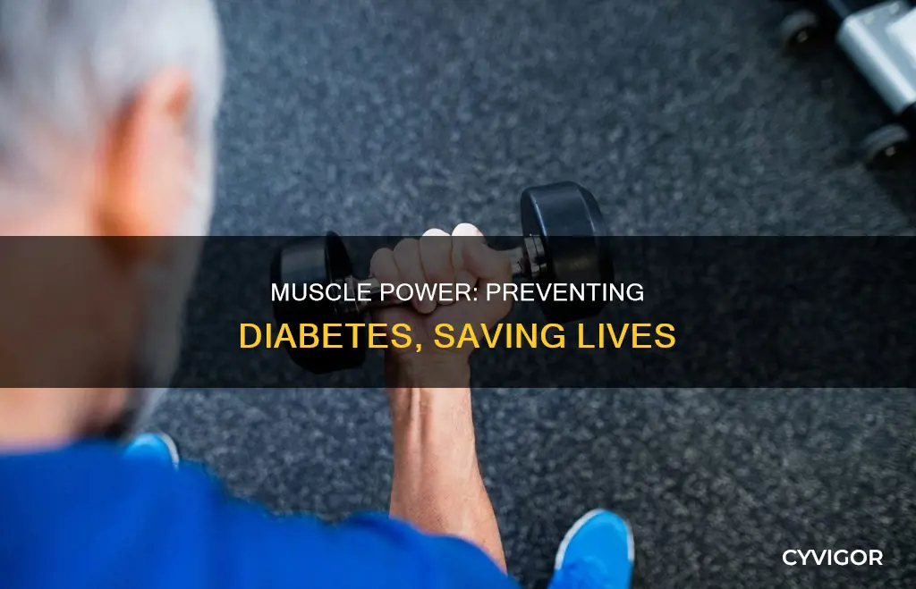 does muscle prevent diabetes