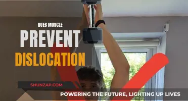 How Muscles Act as a Dislocation Barrier