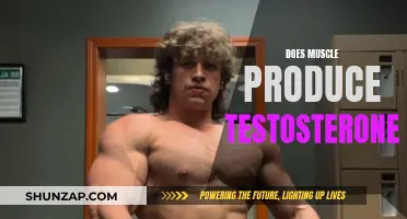 Muscle Power: Testosterone and Strength Training