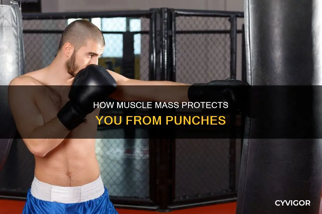 does muscle protect from punches