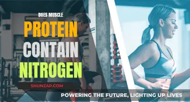 Muscle Protein and Nitrogen: What's the Connection?