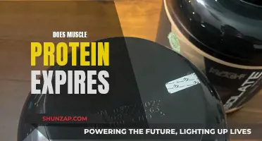 Muscle Protein: Expiry Dates and Workout Efficiency