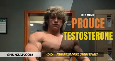 Muscle Power: Testosterone and Strength Training