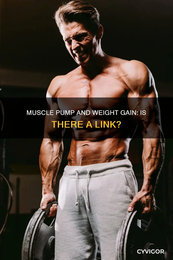 does muscle pump increase weight