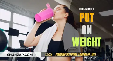 Muscle Weight Gain: Fact or Fiction?