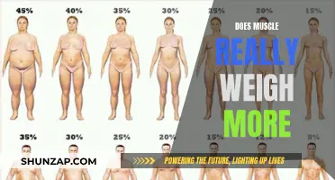 Muscle Mass: Does It Really Weigh More?