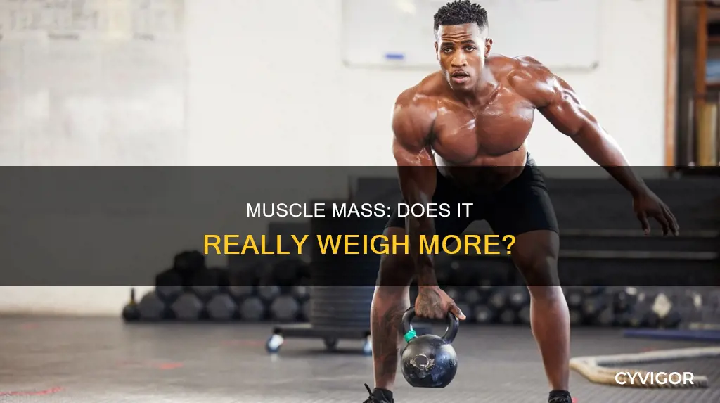 does muscle really weigh more