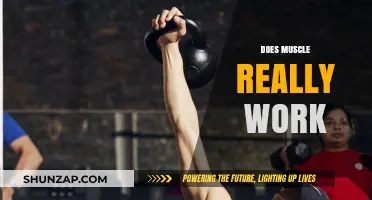 Does Muscle Really Work? Unveiling the Truth Behind Strength Training