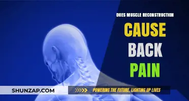 Muscle Reconstruction: Can It Cause Back Pain?