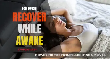 Muscle Recovery: Sleep vs Wakefulness
