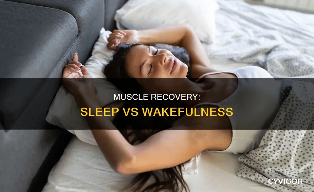 does muscle recover while awake