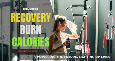 Muscle Recovery: Burning Calories While Resting and Repairing