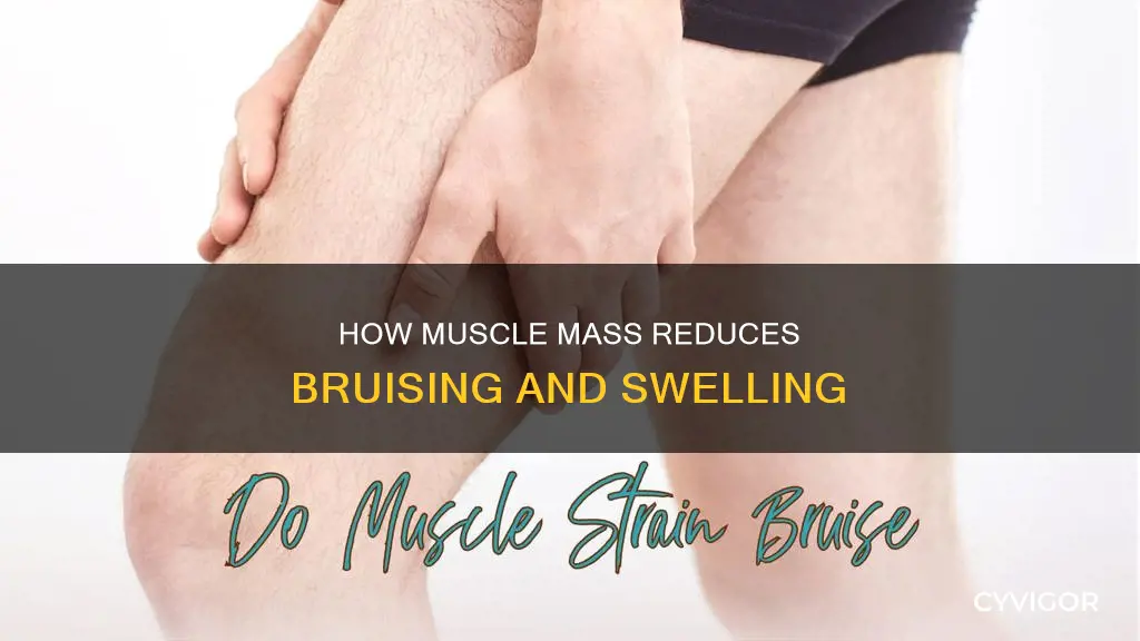 does muscle reduce bruising