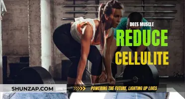 How Muscle Mass Can Reduce Cellulite Appearance