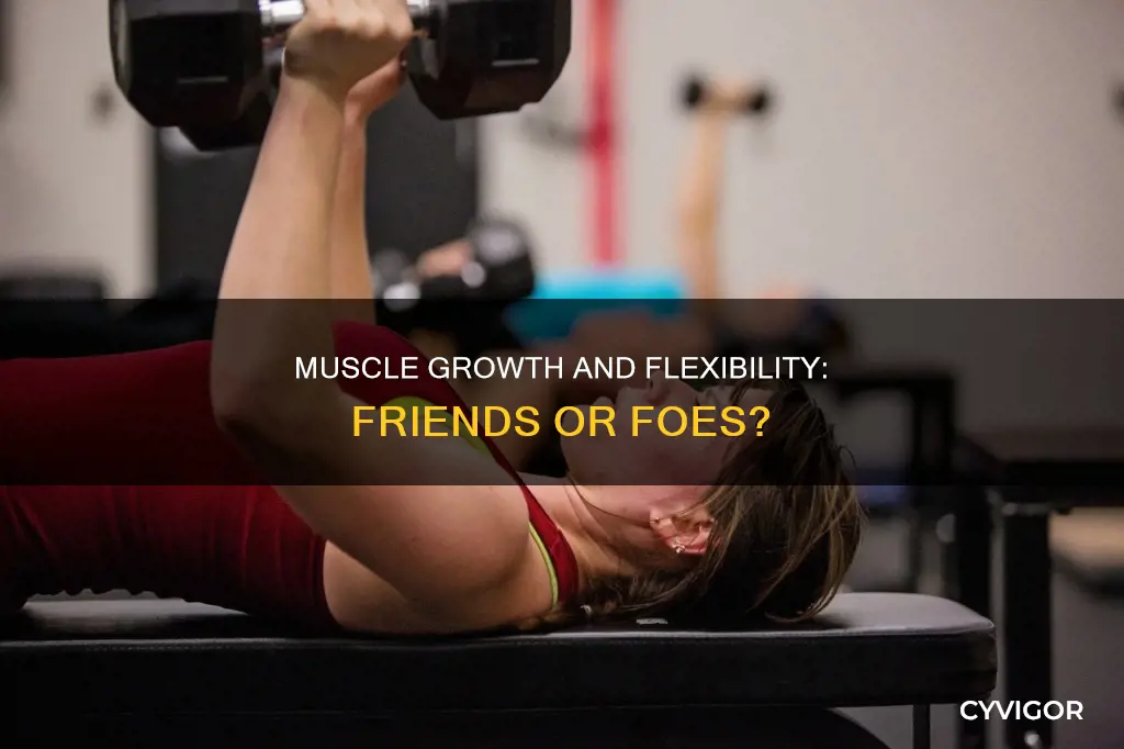 does muscle reduce flexibility