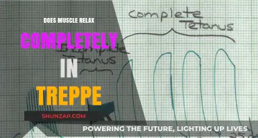 Does Muscle Relax Fully in Treppe? Exploring the Science Behind It