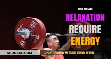 Muscle Relaxation: Does It Require Energy? Unraveling the Science
