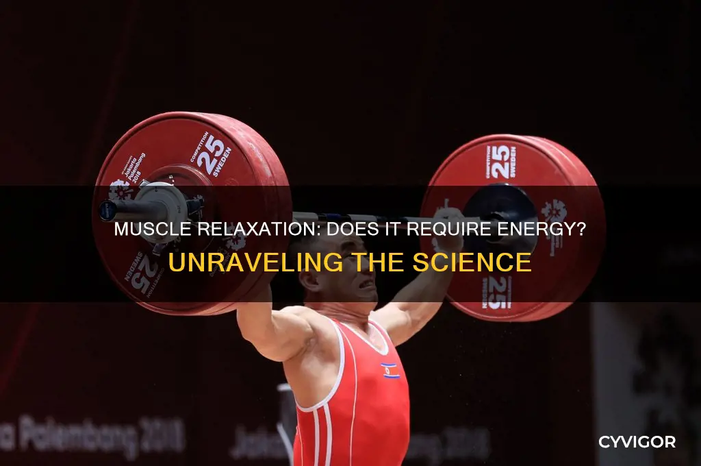 does muscle relaxation require energy