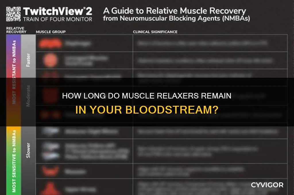 does muscle relaxer stay in blood stream how long