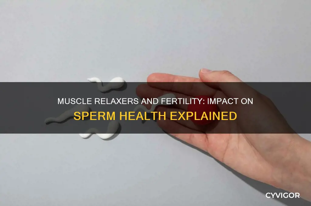 does muscle relaxers affect sperm