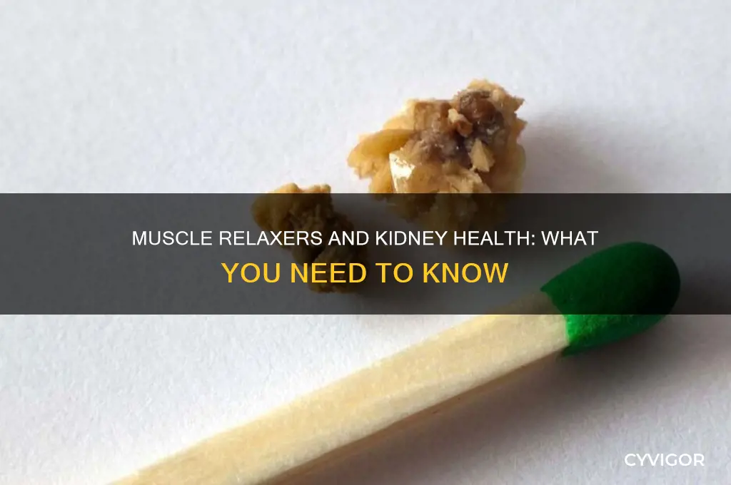 does muscle relaxers affect your kidneys