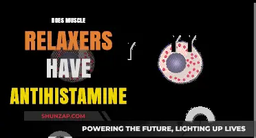 Muscle Relaxers and Antihistamines: Understanding Their Connection and Effects